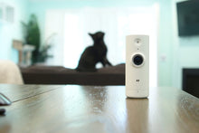 Load image into Gallery viewer, D-Link DCS-8000LH Single Pack, 120-degree Wide View Angle Security Camera, Mini HD Camera with Built-in Night Vision, Motion and Sound Detection (Renewed)
