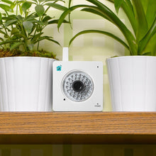 Load image into Gallery viewer, Y-cam HomeMonitor Indoor Wireless Security Camera with Free Cloud Recording - WiFi Surveillance Camera