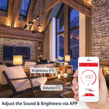 Load image into Gallery viewer, Sengled Solo JBL Speaker Light Bulb Dual Channel Dimmable LED Light App Controlled 45W Equivalent E26 Smart Timing Music Bulb, Compatible with Alexa via Bluetooth Connection
